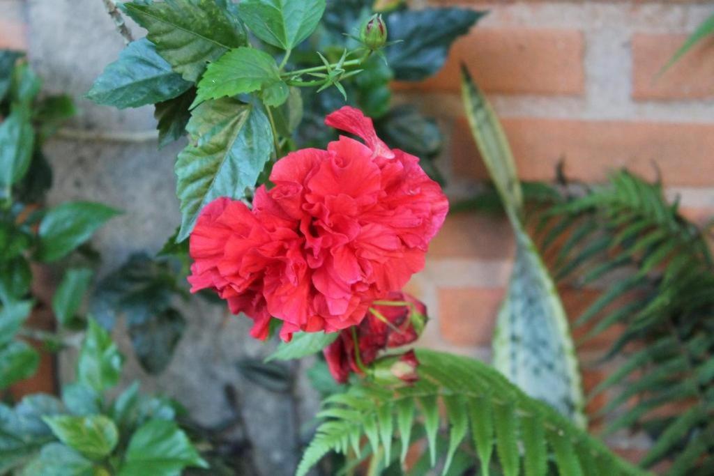 Casa en Jurerê a 200 metros da praia room 4