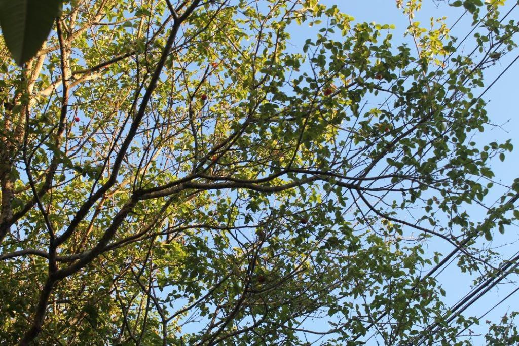 Casa en Jurerê a 200 metros da praia room 5