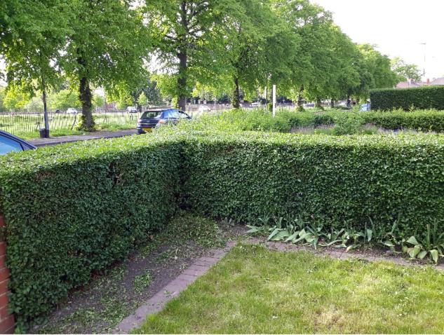 Alphalink house room 3