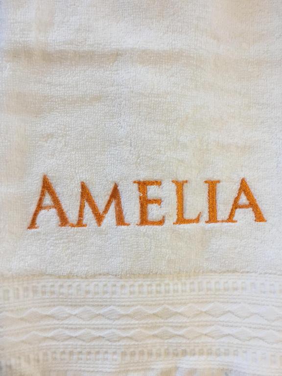 Amelia Villarrica room 1