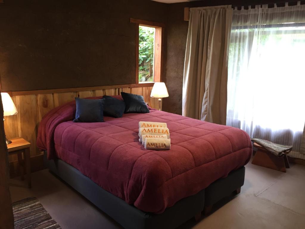 Amelia Villarrica room 3