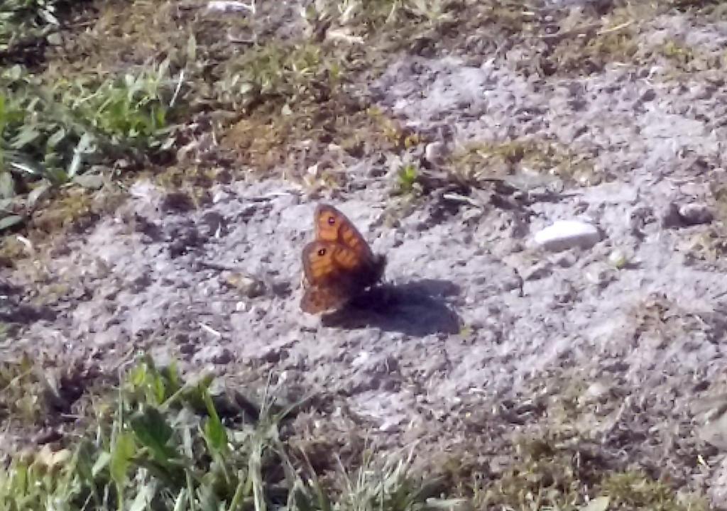 Residenza D'Amelio room 5