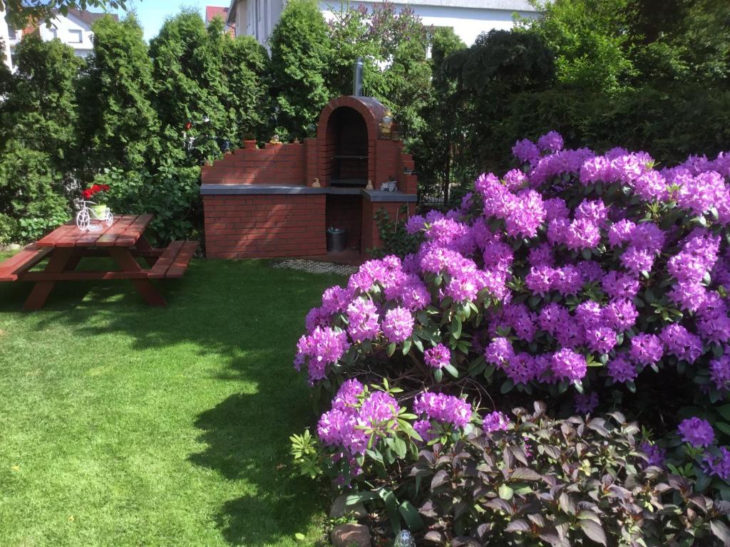 Andros Apartamenty Świnoujście room 1