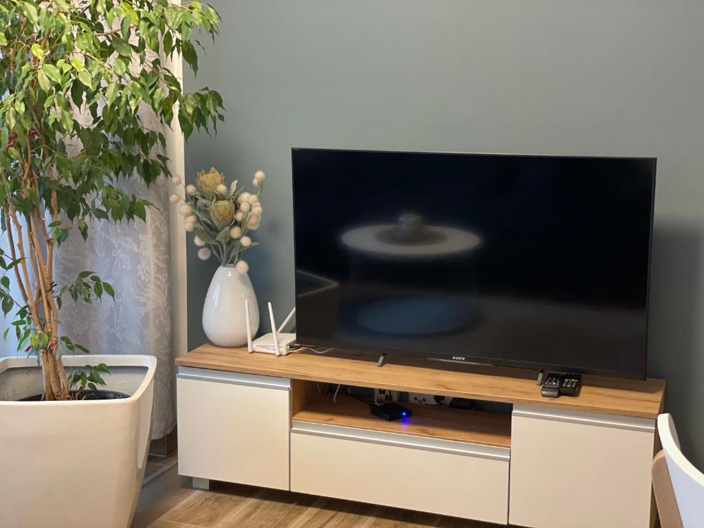 Apartament Sosnowy Zakątek room 4