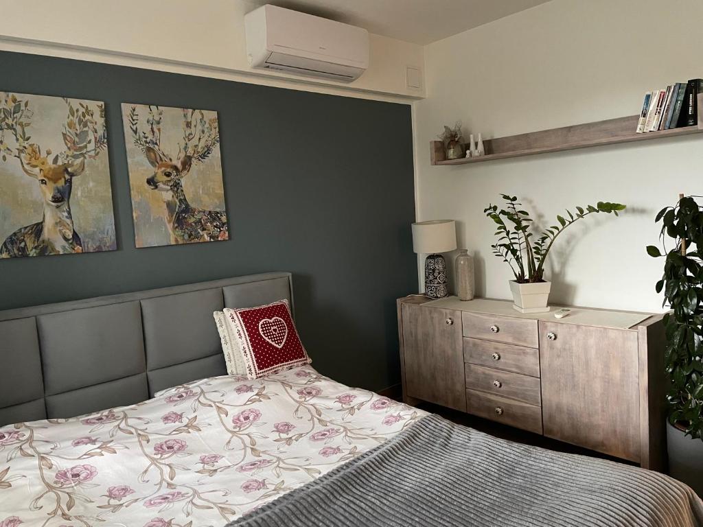 Apartament Sosnowy Zakątek room 6