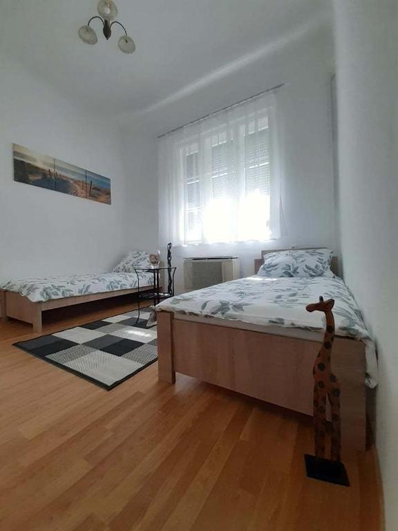 Főtér Apartman Baja room 2