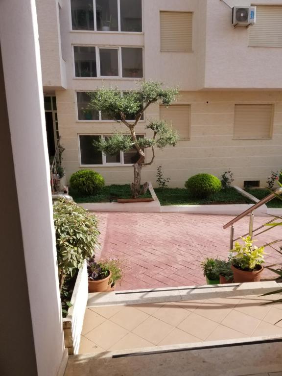 Apartment Misa Vlore room 1