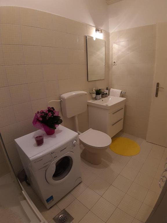 Apartments Roza room 1