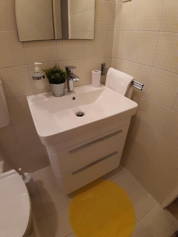 Apartments Roza room 2