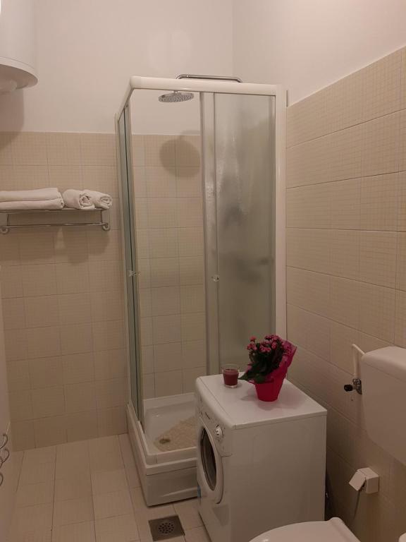 Apartments Roza room 4