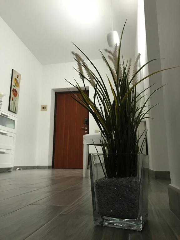 Grey's Apartment room 3