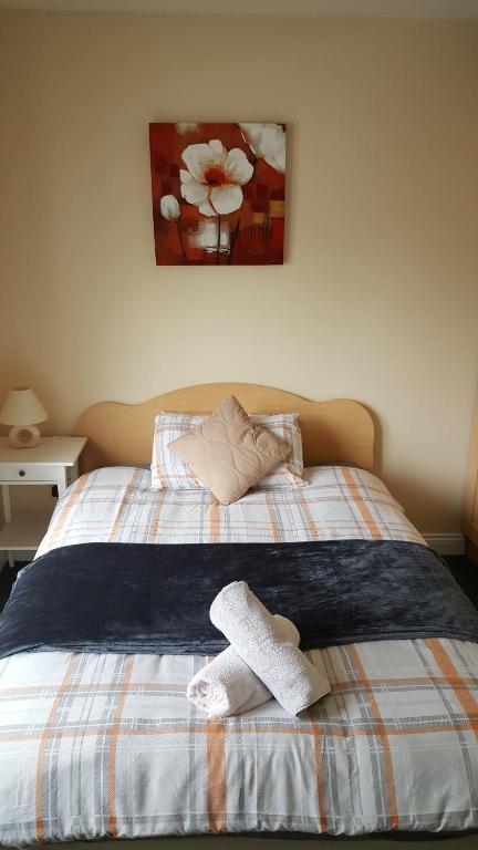 Athenry Village Apartments room 5
