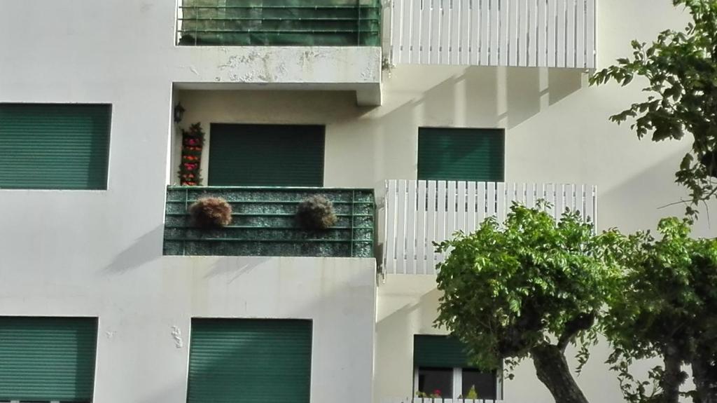 Town Beatrice Flat room 6