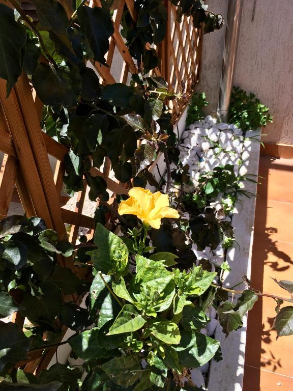 A casa di Beppe room 5