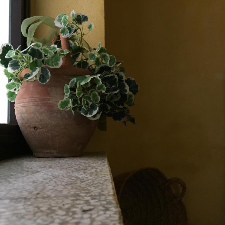 Bijou Apartment room 3