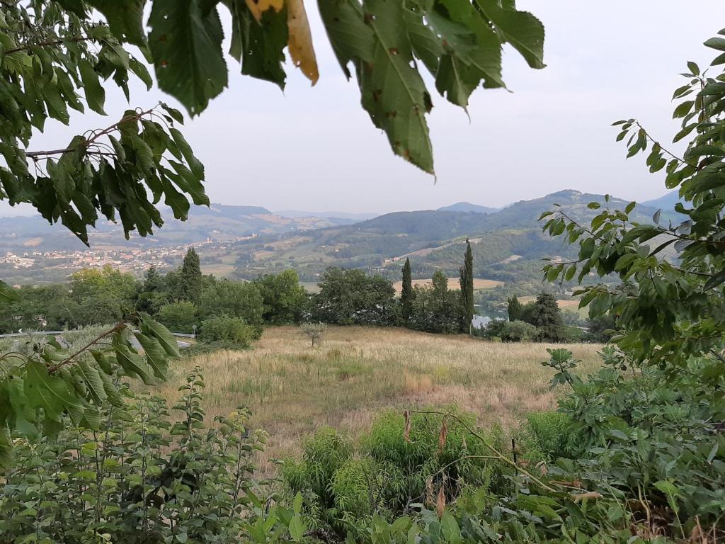 LA PIETRA DEI BORGIA room 3