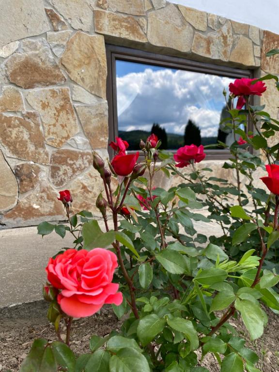 Cabana Runcul Cailor room 1