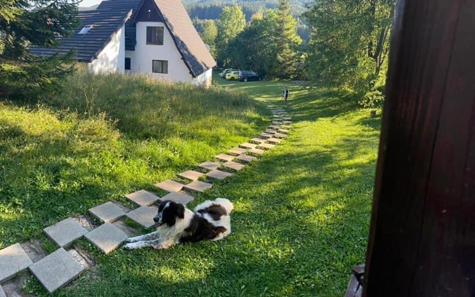 Cabana Runcul Cailor room 2