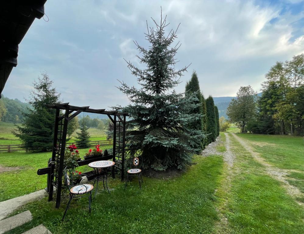 Cabana Runcul Cailor room 4