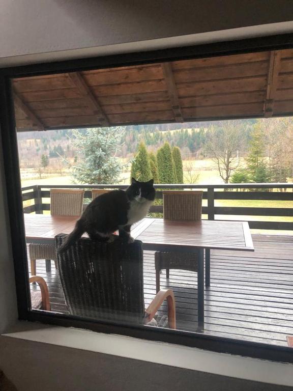 Cabana Runcul Cailor room 5