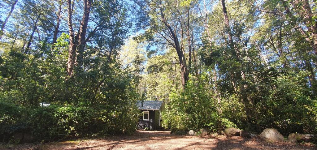 Cabaña En Bosque Nativo room 1