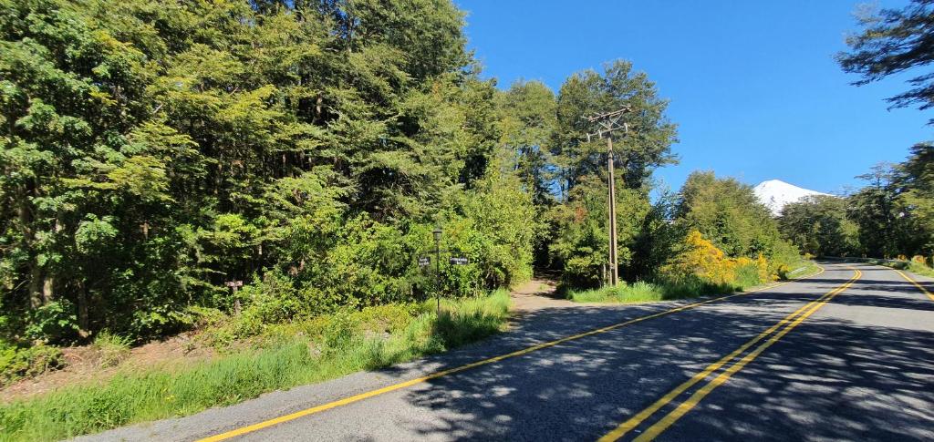Cabaña En Bosque Nativo room 2
