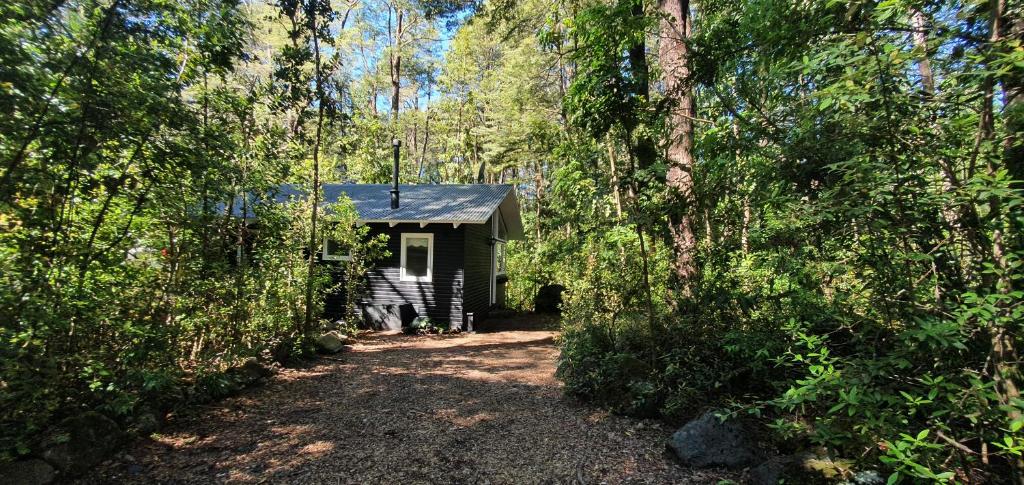 Cabaña En Bosque Nativo room 5
