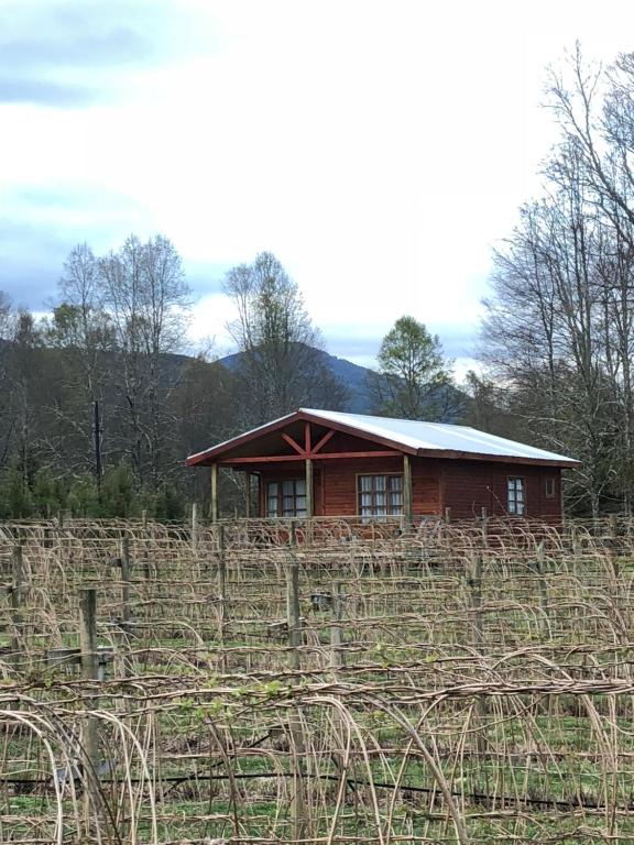 Cabaña Rukafun room 1