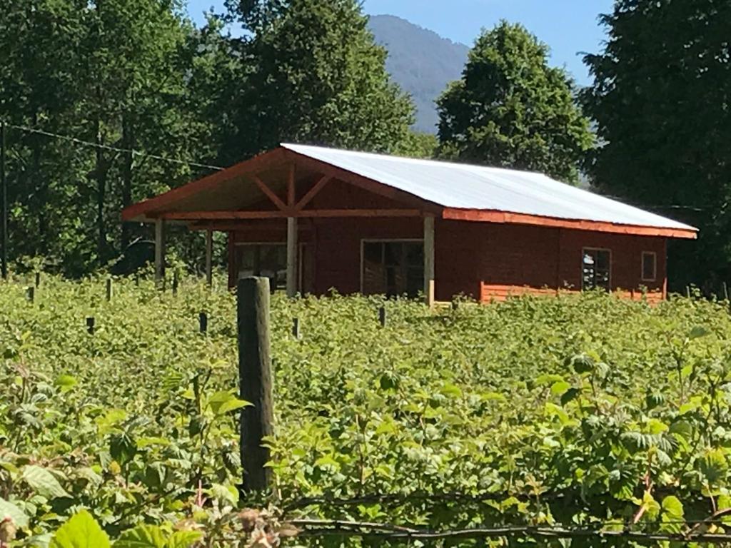 Cabaña Rukafun room 3