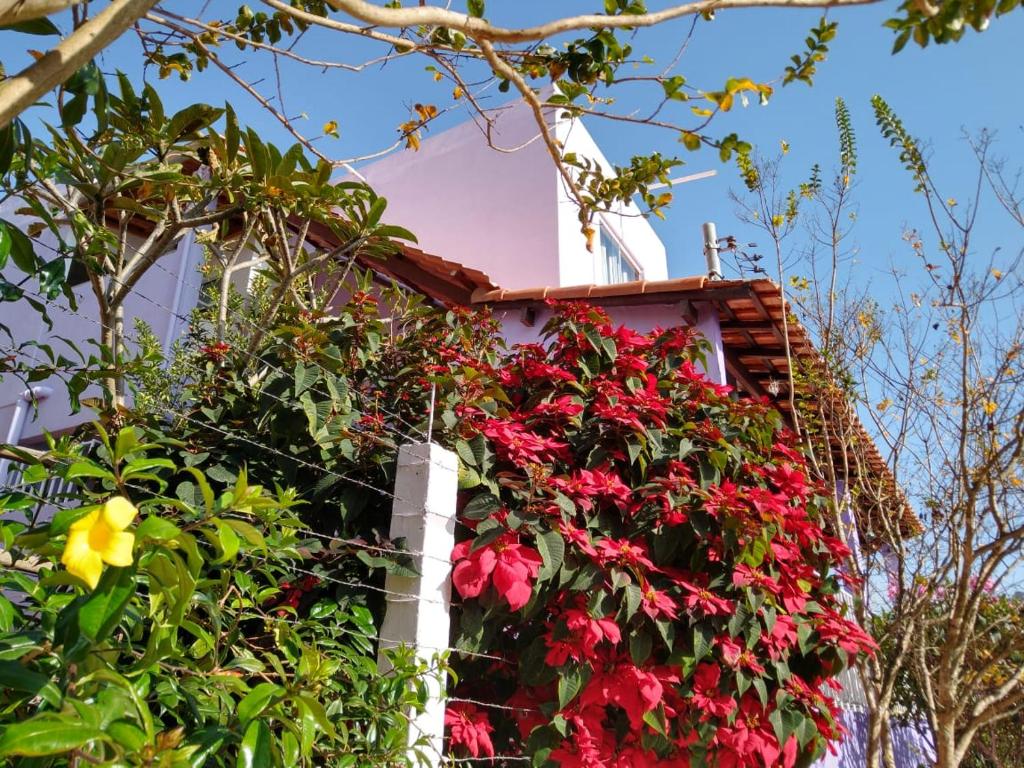 CASA ACONCHEGANTE room 2