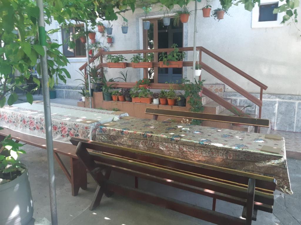 Casa Dina room 3