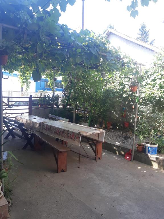 Casa Dina room 4