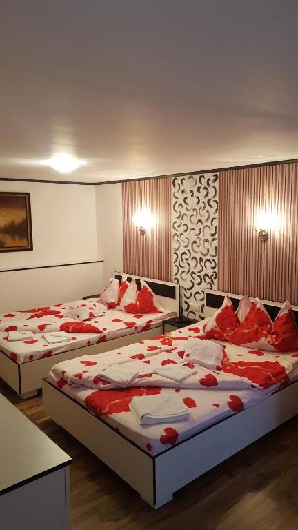 Casa Leo Haţeg room 2