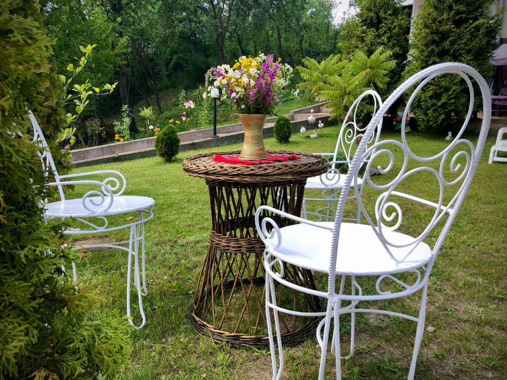 Casa Paunescu room 2