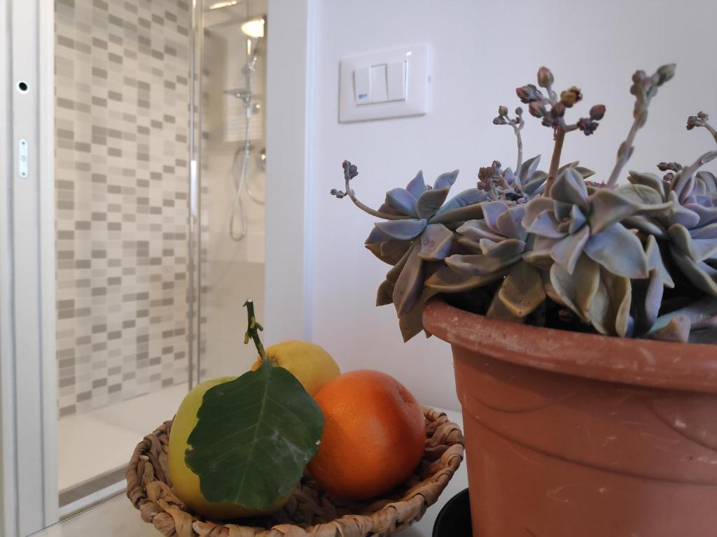 Casadei Guest House Stazione Bologna room 6