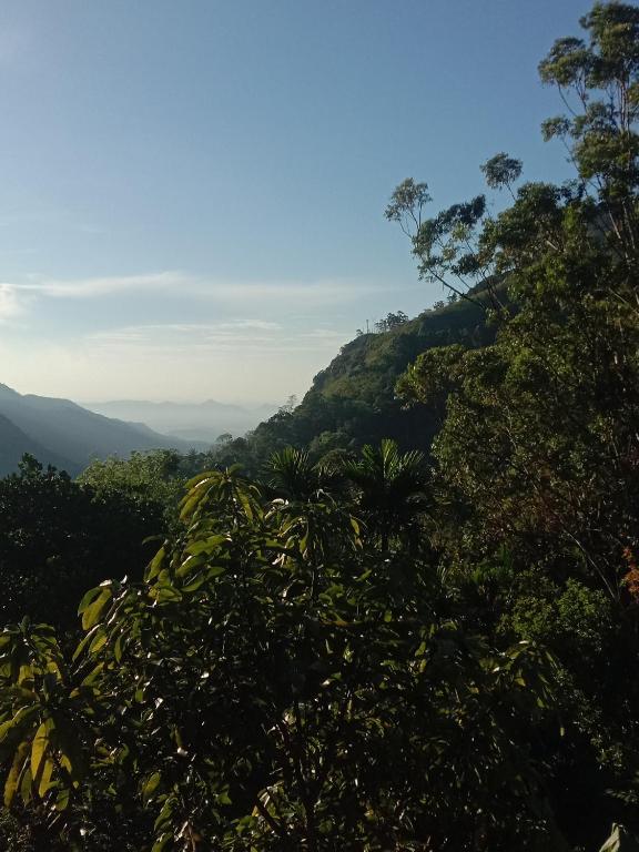 Charming View Homestay room 1