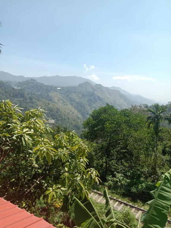 Charming View Homestay room 2