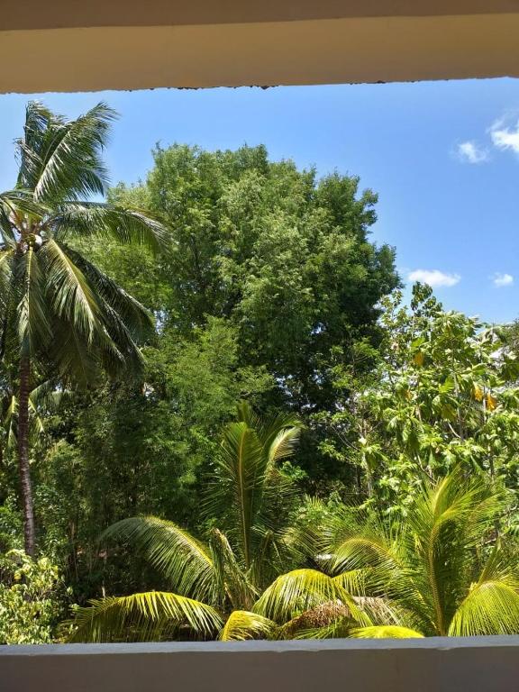 Udawalawe city safari cottage room 2