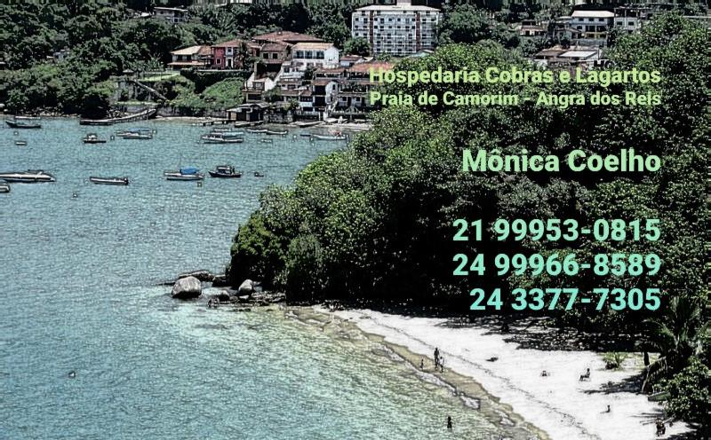Hospedaria Cobras E Lagartos room 1