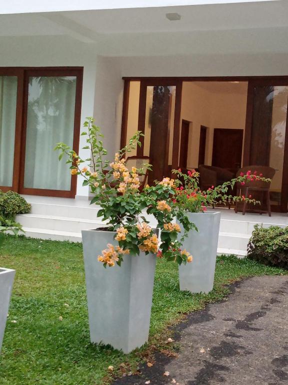 Colibri Villa room 4