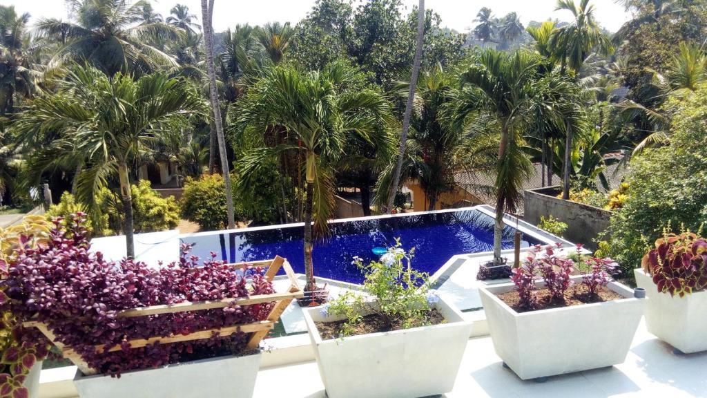 Colibri Villa room 6