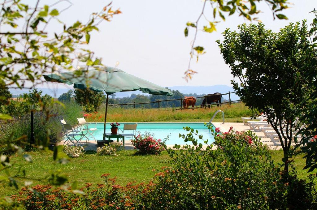 Collina Blu room 2