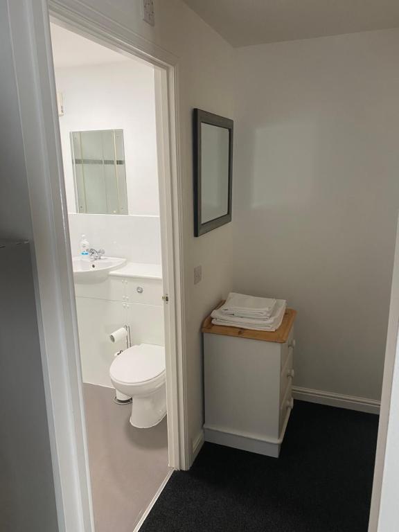 Cosy studio flat room 4