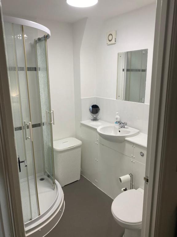 Cosy studio flat room 5