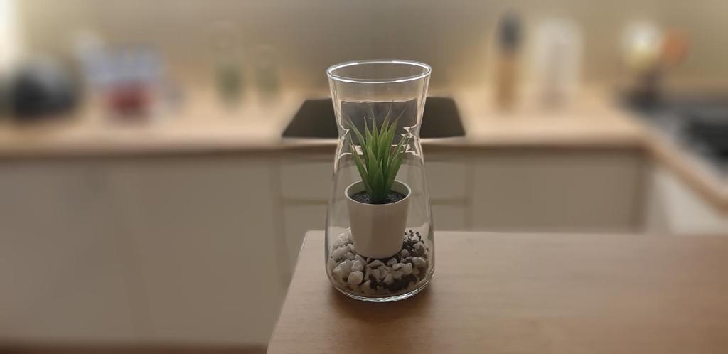 Apartament Cyrkoniowa room 2
