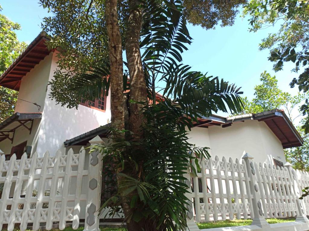 Eco Garden Hiriketiya room 6