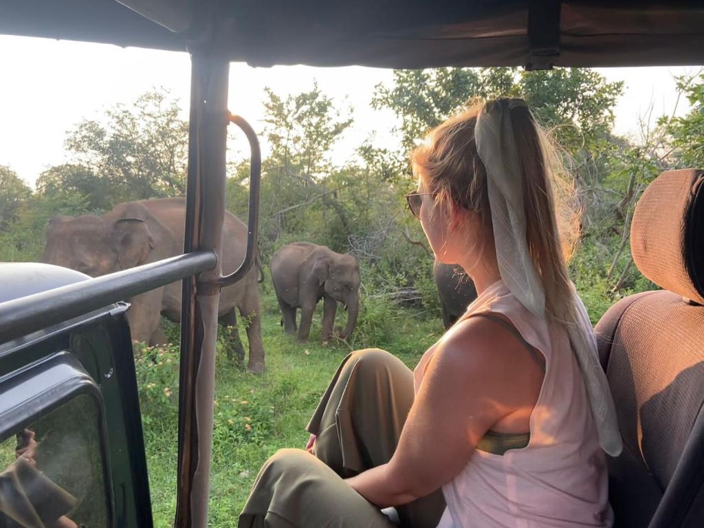 Elephant Paradise Safari Bungalow room 2