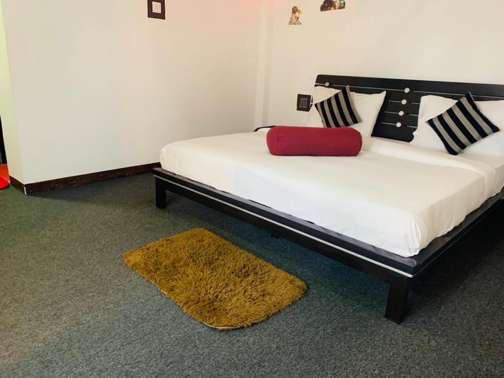 Ella Forest Eco View room 2