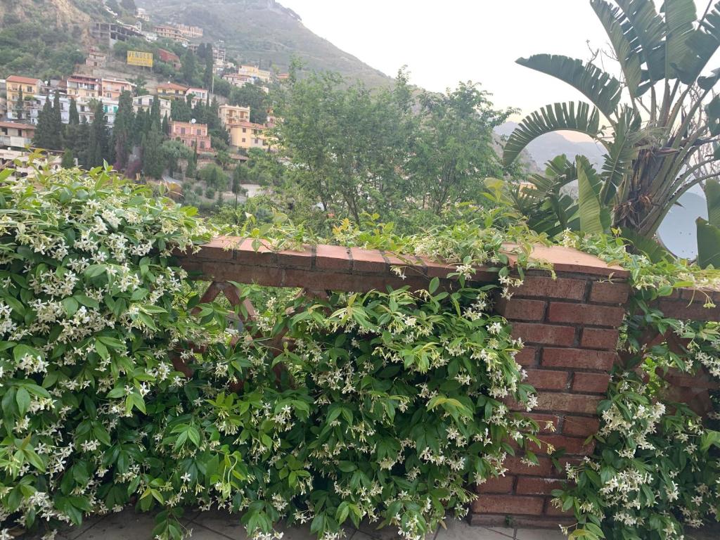 La Finestra di Taormina room 2