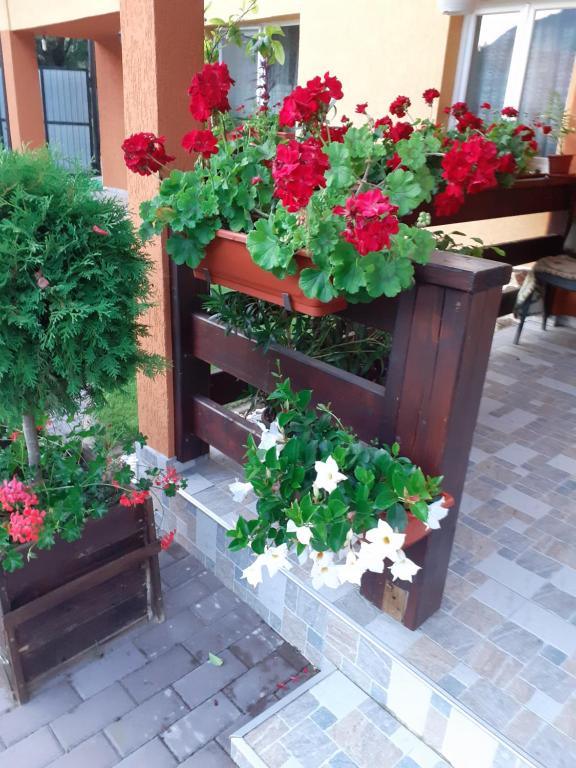 Floare de Colt room 3